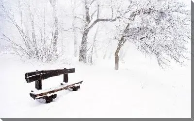 Скамейка в зимнем парке (Bench in winter park)