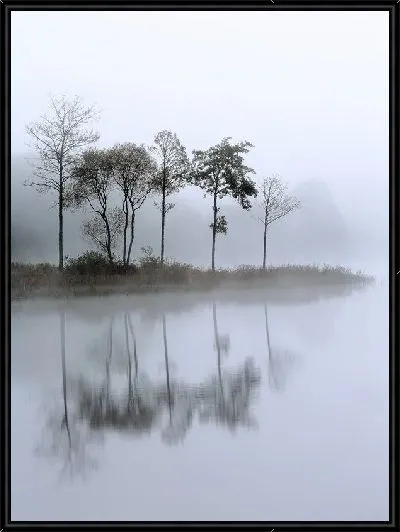 Картина Туман над озером (Fog over the lake) №4