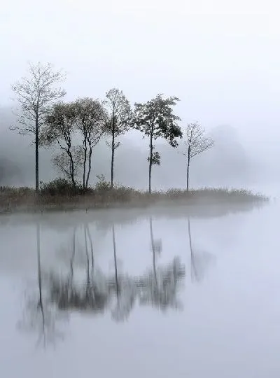 Плакат Туман над озером (Fog over the lake) №4