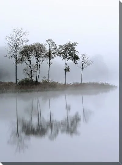 Постер Туман над озером (Fog over the lake) №4