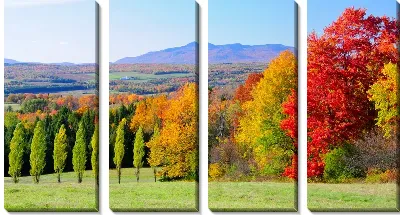 Модульная картина Осенний лес (Autumn forest) №9