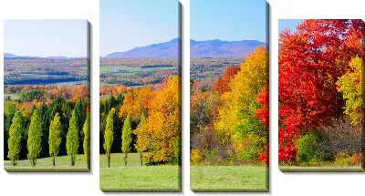 Модульная картина Осенний лес (Autumn forest) №9