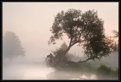 Картина Туман над озером (Fog over the lake) №5