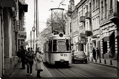 Постер Трамвай (Streetcar) №4