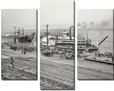 Пароход (Steamer) №9