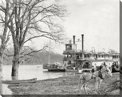 Постер Пароход (Steamer) №10