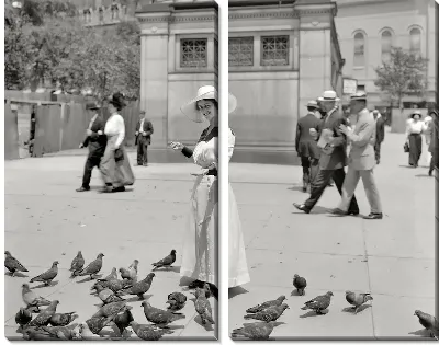 Модульная картина Девушка кормит голубей (Девушка кормит голубей)