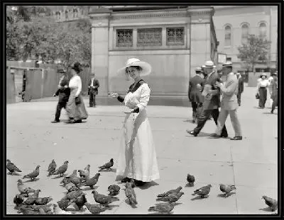 Девушка кормит голубей (Девушка кормит голубей)