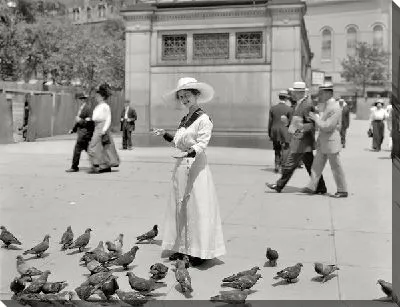 Девушка кормит голубей (Девушка кормит голубей)