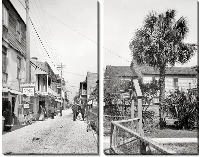Модульная картина Улица во Флориде (Street in Florida)