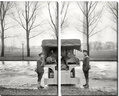 Модульная картина Отправка в госпиталь (Send in hospital)