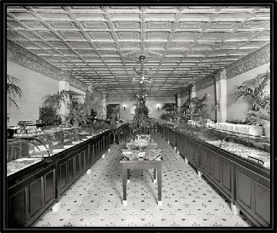 Картина Магазин (Shop)