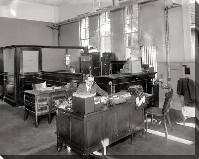 Офисный сотрудник (Office employee)