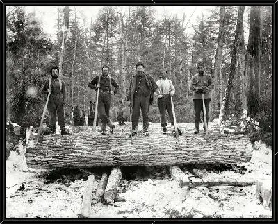 Спиленное дерево (Cut down a tree)