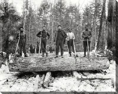 Спиленное дерево (Cut down a tree)