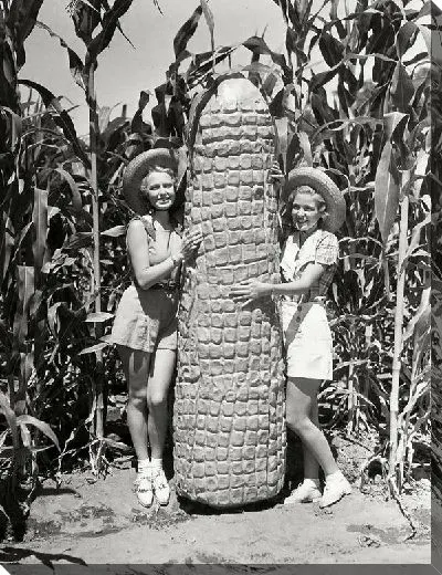 Постер Скульптура початка кукурузы (Sculpture corn cob)