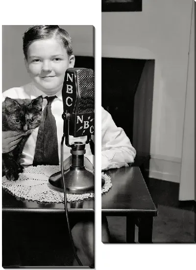 Модульная картина Мальчик с микрофоном и кошкой (Boy with a microphone and a cat)