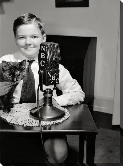 Постер Мальчик с микрофоном и кошкой (Boy with a microphone and a cat)