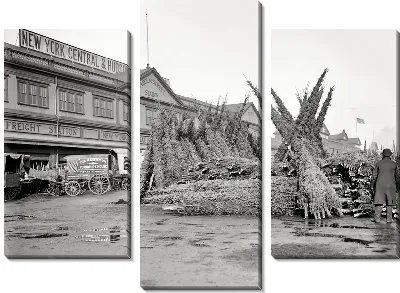 Модульная картина Елки (Firs)