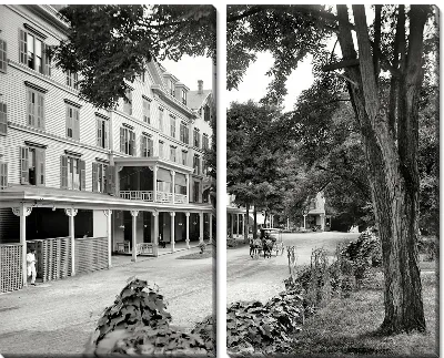 Модульная картина Тенистая улица (Shady street)