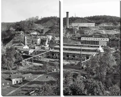 Модульная картина Завод в Мичигане (Plant in Michigan)