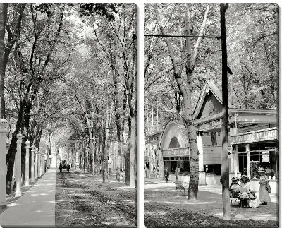 Модульная картина Тенистая аллея (Shady alley)