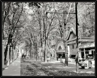 Картина Тенистая аллея (Shady alley)