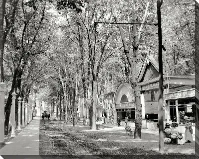 Постер Тенистая аллея (Shady alley)