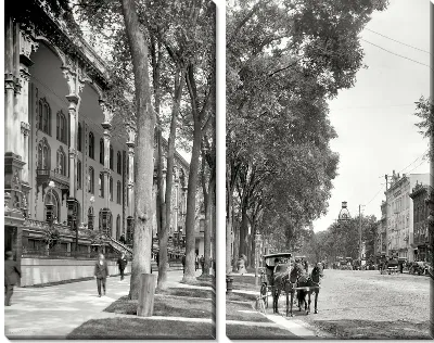 Модульная картина Улица с деревьями (Street with trees)