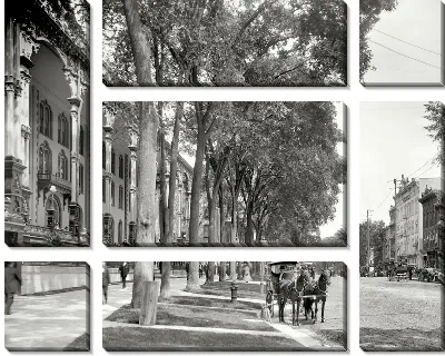 Модульная картина Улица с деревьями (Street with trees)