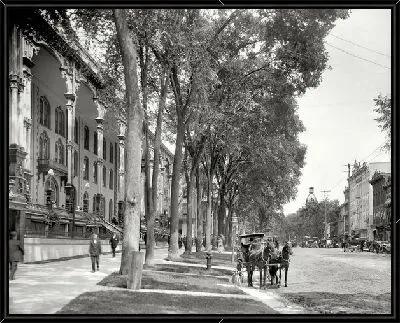 Картина Улица с деревьями (Street with trees)