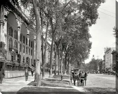 Постер Улица с деревьями (Street with trees)