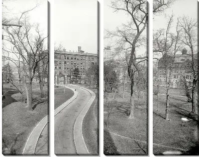 Модульная картина Дорога в парке (The road to the park)