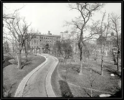 Картина Дорога в парке (The road to the park)