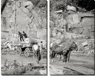 Модульная картина Повозка (Wagon) №2