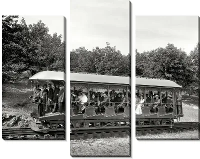 Модульная картина Открытый поезд (Public train)