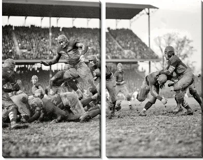 Модульная картина Регби (Rugby) №4