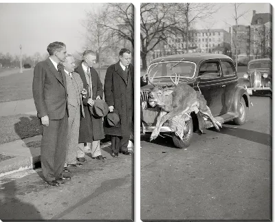 Модульная картина Охотники рядом с оленем (Hunters near the deer)