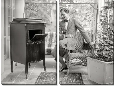 Модульная картина Радио (Radio) №4