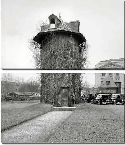 Модульная картина Здание обвитое ветвями деревьев (The building is wrapped up by the branches of trees)