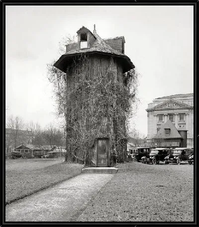 Картина Здание обвитое ветвями деревьев (The building is wrapped up by the branches of trees)