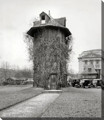 Постер Здание обвитое ветвями деревьев (The building is wrapped up by the branches of trees)