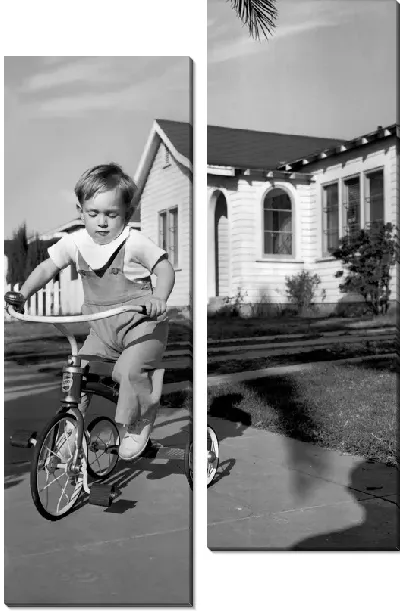Модульная картина Мальчик на велосипеде (Мальчик на велосипеде)
