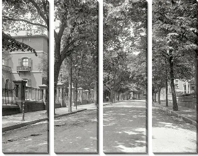 Модульная картина Тенистая аллея (Shady alley) №2