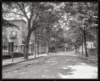 Картина Тенистая аллея (Shady alley) №2