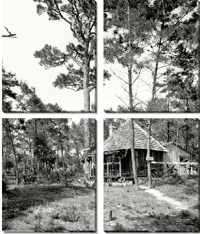 Модульная картина Летний домик (Camping)