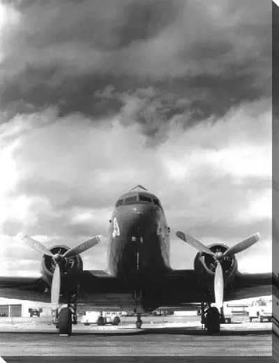 Постер Самолет (Plane) №14