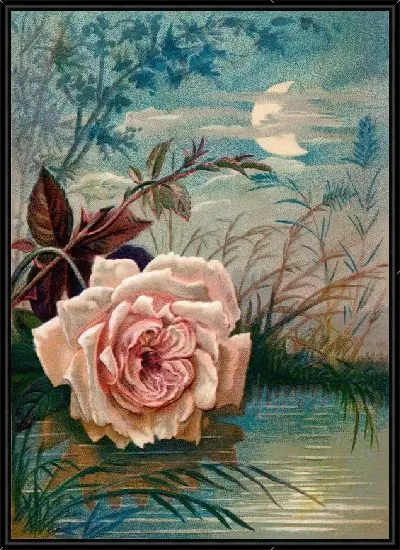 Картина Роза над прудом (Rose above the pond)