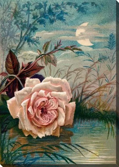 Картина маслом Роза над прудом (Rose above the pond)