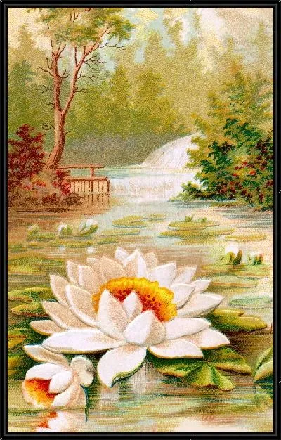 Картина Лотос в пруду (Lotus in the pond)